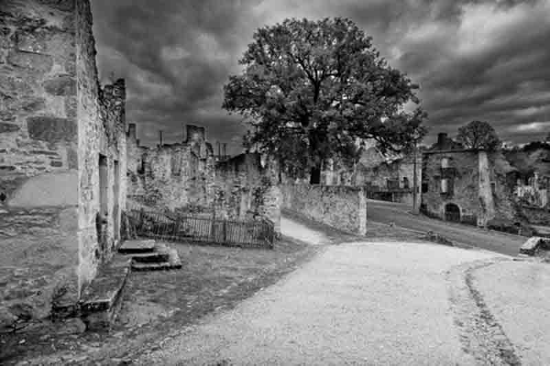 Le chêne d'Oradour